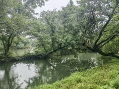 -西溪国家湿地公园