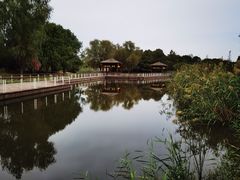 -同里国家湿地公园