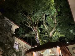 -普陀山雷迪森庄园