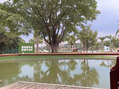 -湖泉水云间餐厅·弥勒地道菜(B座店)