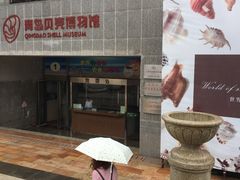 -青岛贝壳博物馆