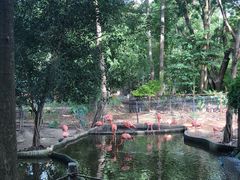 -清迈夜间动物园