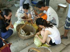 -马陆小张葡萄园农家乐