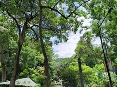-广州市白云山风景名胜区