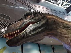 -湖南省地质博物馆