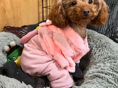 -百美汇影城(LUXE嘉里中心店)