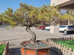 -灞柳驿酒店(香湖湾地铁站店)