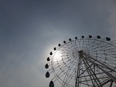 -紫光园(顺义店)