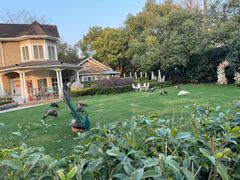 -J Create城市露营咖啡·简餐·宠物(上海动物园店)