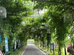 -武汉紫薇都市田园