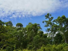 -火炉山森林公园