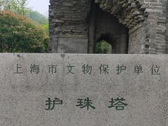 -上海佘山国家森林公园天马山园