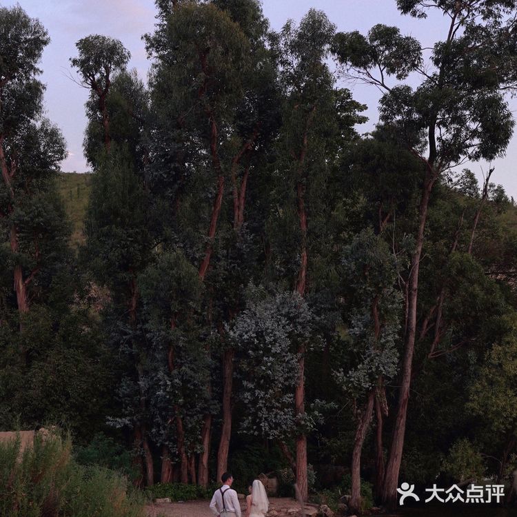 大理｜⛰鹿卧山拍照攻略，国庆好去处 