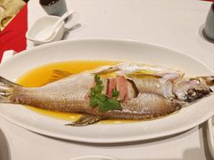 酒糟蒸白水鱼-上海1号私藏菜(黄浦店)
