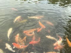 -珠海圆明新园