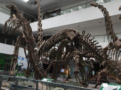 -中国地质大学逸夫博物馆