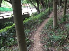 -南山植物园