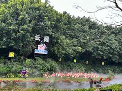 -广州长隆飞鸟乐园