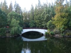 -东平国家森林公园