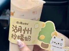 -猫的魔法密林(衣裳街店)