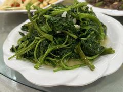 -谭家菜农夫山庄