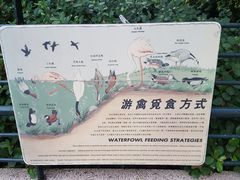 -九龙公园