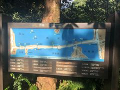 -苏堤停车场