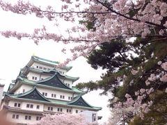 iphone_upload_pic-名古屋城