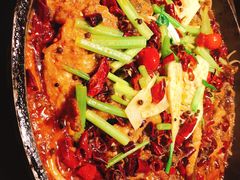 -老板恋上鱼(印象城店)