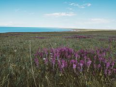 -青海湖国家重点风景名胜区