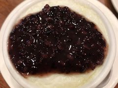 红豆双皮奶冷-正德顺順德雙皮奶(中信店)