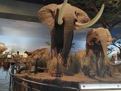 -天津自然博物馆