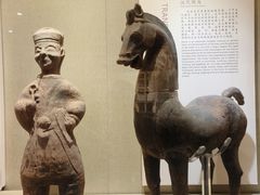 -乐山市博物馆