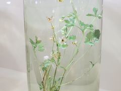-南宁市科技馆