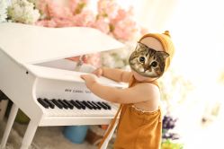 -婴爱儿童摄影 BabyloveStudio(中山门店)
