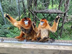 -哈尔滨北方森林动物园