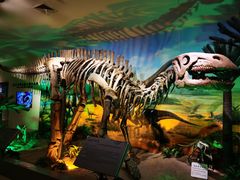 -甘肃地质博物馆