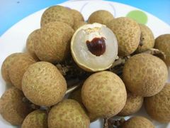 -从化深英荔枝黄皮龙眼采摘园