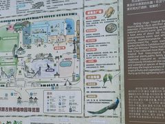 -呀路古热带植物园