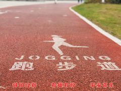 -万绿园