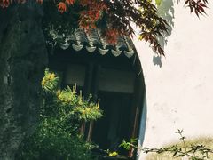 -艺圃