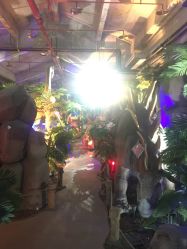 -恐龙探索乐园(磁器口店)