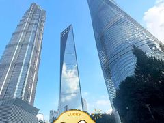 -上海中心大厦