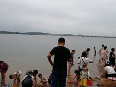 -丁香湖公园