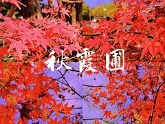 -秋霞圃