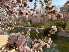 -元大都城垣遗址公园