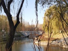 -大兴滨河森林公园