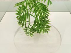 -穆拉诺餐厅(上海玻璃博物馆店)