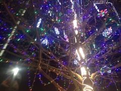 iphone_upload_pic-JFC品尚中心