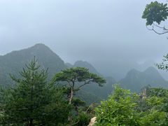 -大连天门山国家森林公园